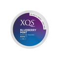 XQS Blueberry Mint