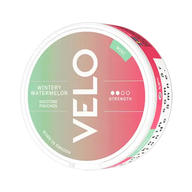VELO Wintery Watermelon Mini