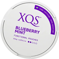 XQS Blueberry Mint Zero