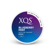 XQS Blueberry Mint Strong – can of nicotine pouches