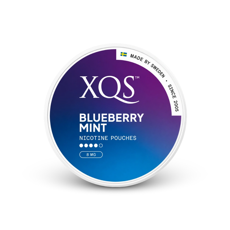 XQS Blueberry Mint Strong – can of nicotine pouches