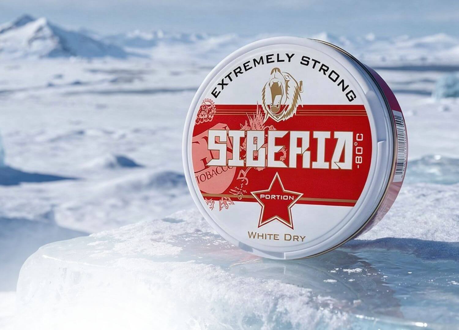 Dose mit Siberia Snus