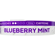 XQS Blueberry Mint Zero