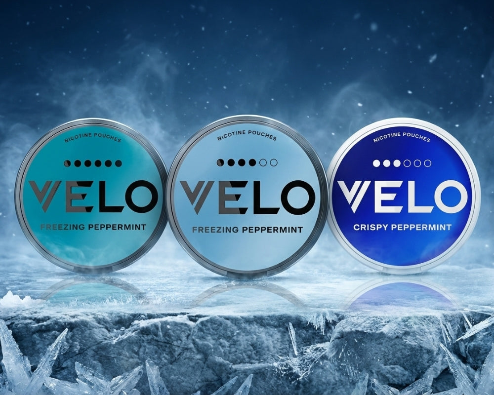 3 Dosen mit Velo Snus in Minze