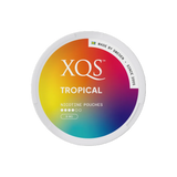 XQS TROPICAL nicotine pouches can