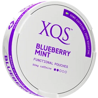 XQS Blueberry Mint Zero